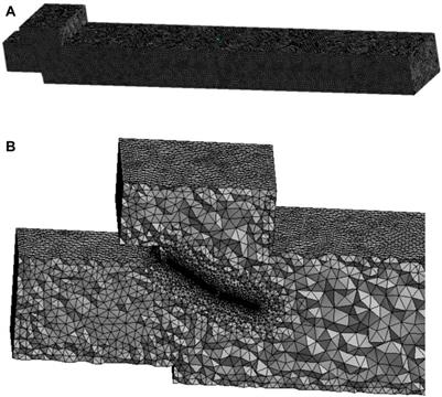 Numerical and Experimental Study on the Opening Angle of the Double-Stage Flap Valves in Pumping Stations